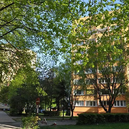 Apartament Super Centrum 1